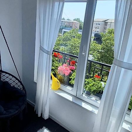 33 Coquette Apartment Baia Mare Zewnętrze zdjęcie