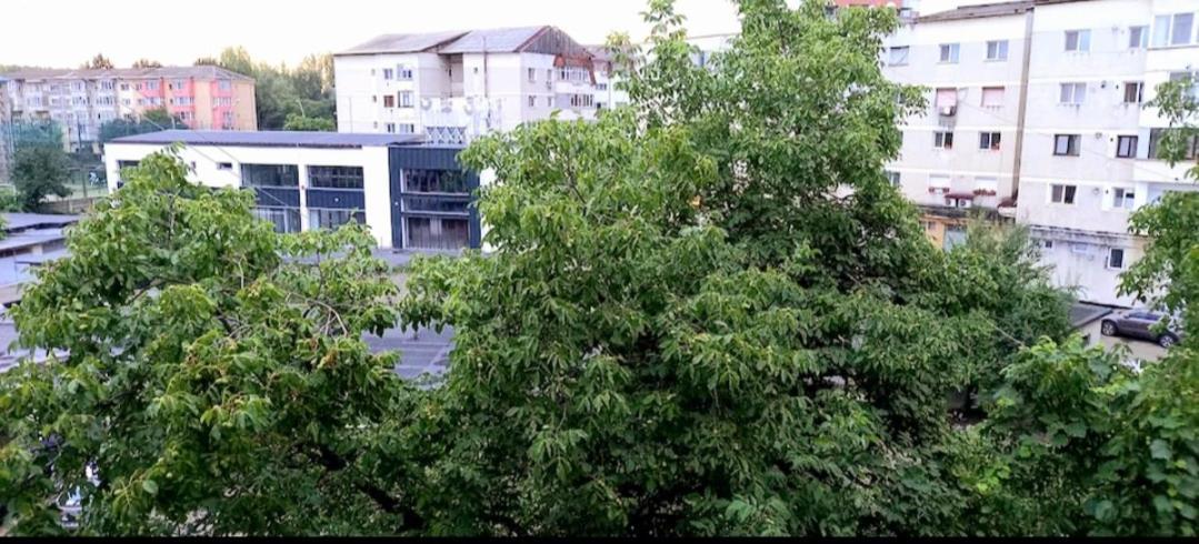 33 Coquette Apartment Baia Mare Zewnętrze zdjęcie
