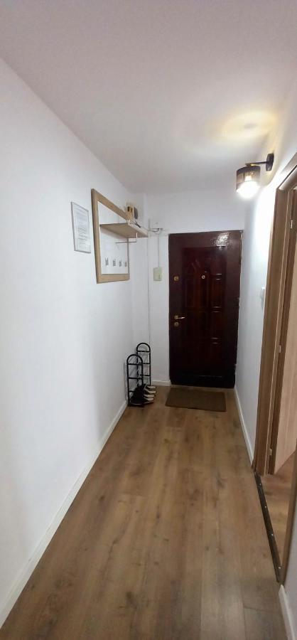 33 Coquette Apartment Baia Mare Zewnętrze zdjęcie