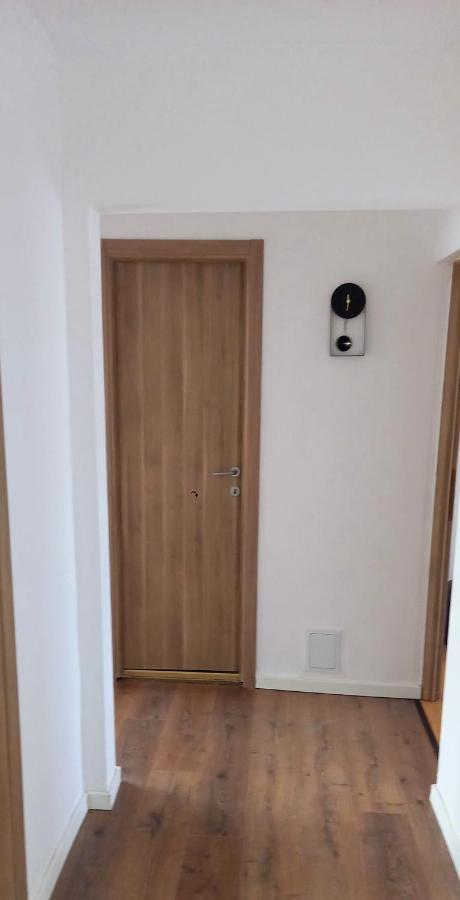 33 Coquette Apartment Baia Mare Zewnętrze zdjęcie