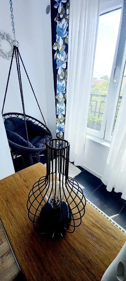33 Coquette Apartment Baia Mare Zewnętrze zdjęcie