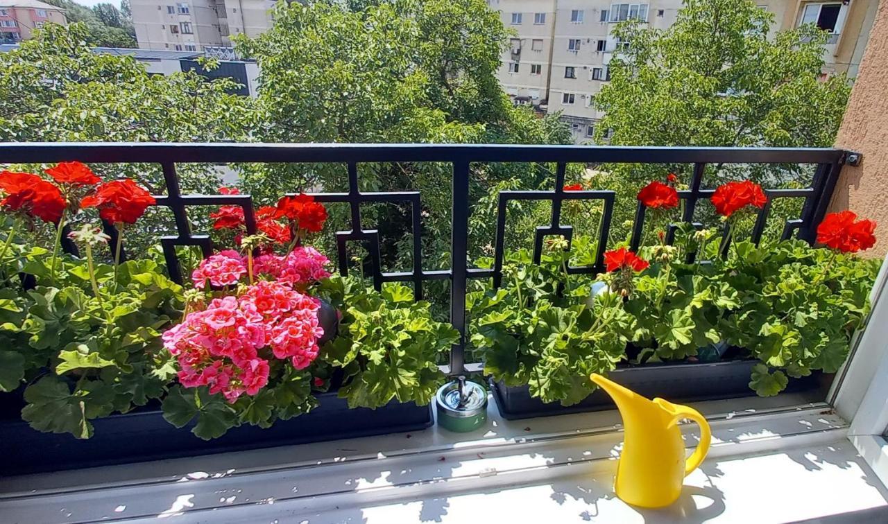 33 Coquette Apartment Baia Mare Zewnętrze zdjęcie