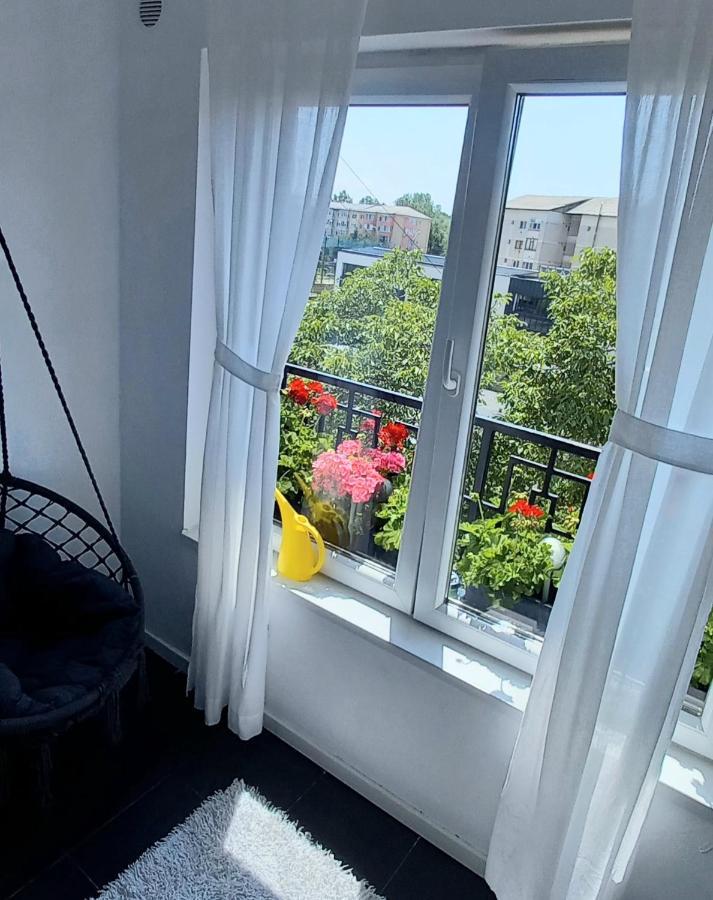 33 Coquette Apartment Baia Mare Zewnętrze zdjęcie