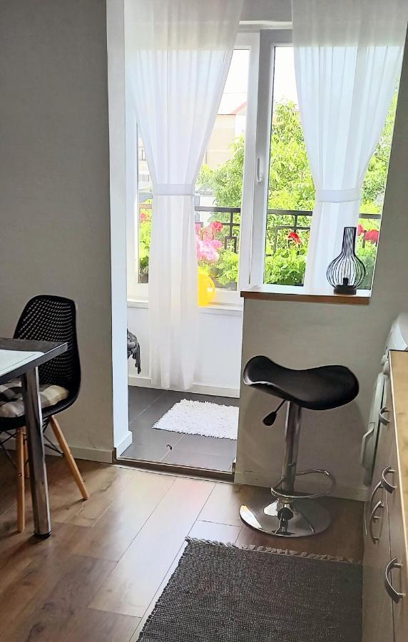 33 Coquette Apartment Baia Mare Zewnętrze zdjęcie