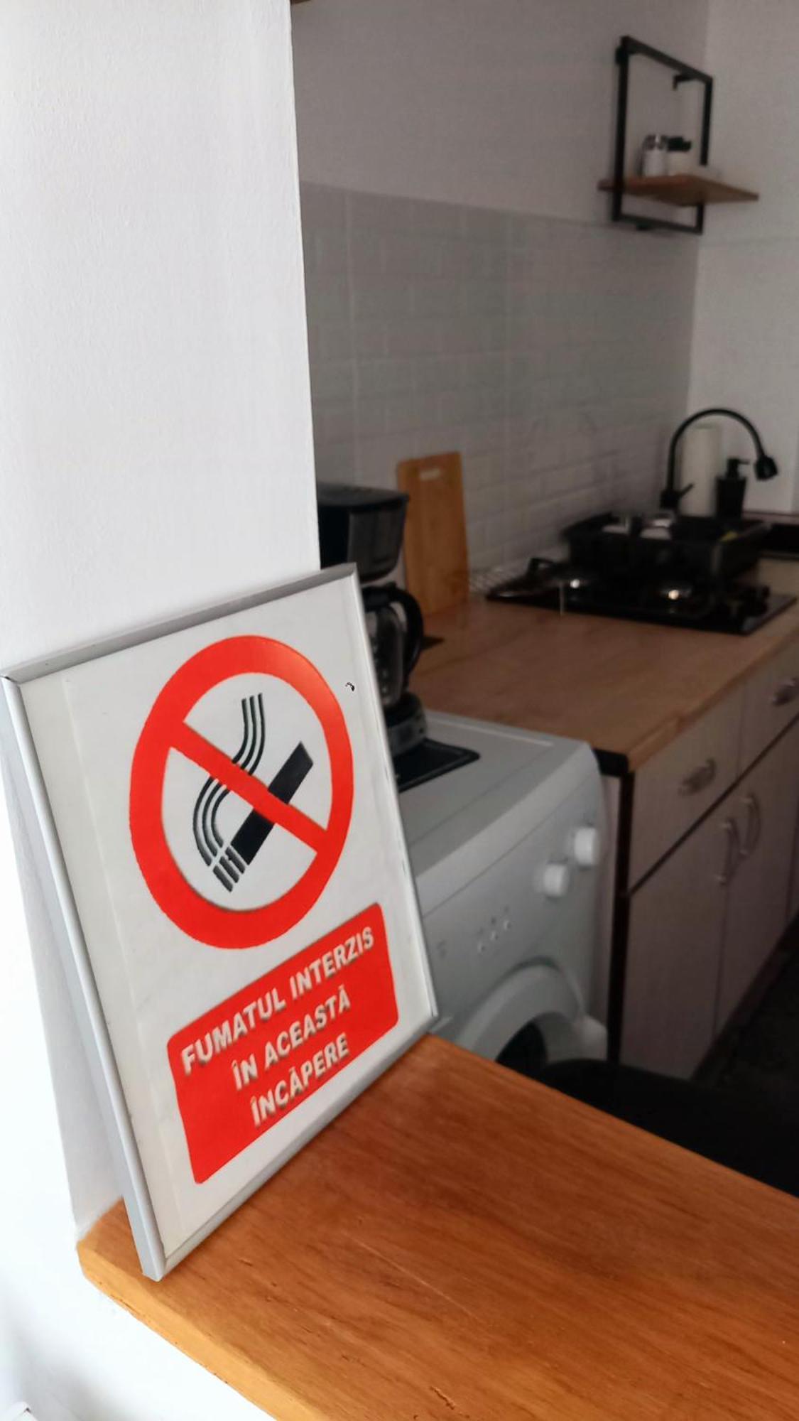 33 Coquette Apartment Baia Mare Zewnętrze zdjęcie